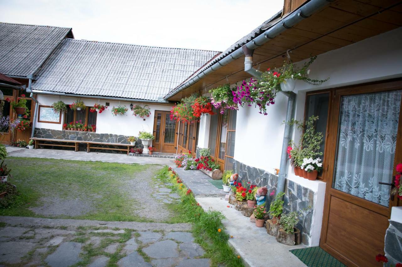 Hotel Ileana Sapanta Exterior foto